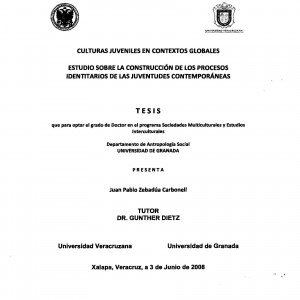 Culturas juveniles en contextos globales. Estudio sobre la construcción de los procesos identitarios de las juventudes contemporáneas